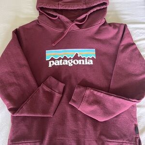 Patagonia Hooded Sweatshirt with Iconic Logo